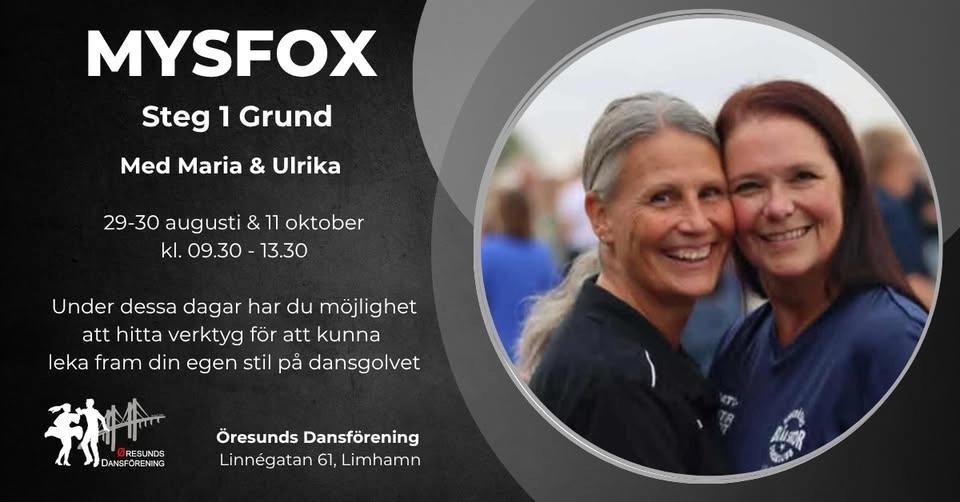 MysFox Steg 1 Grund