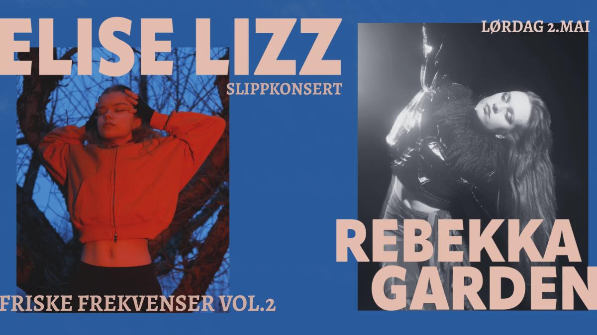 FRISKE FREKVENSER VOL. 2