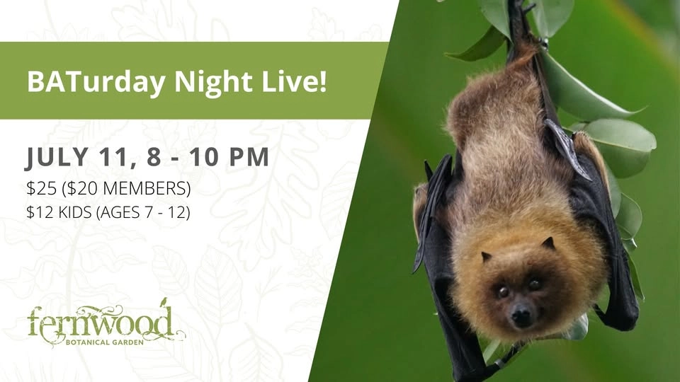 BATurday Night Live!