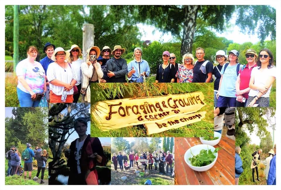 🌿Intro to Foraging🌿 ticketed event🌿