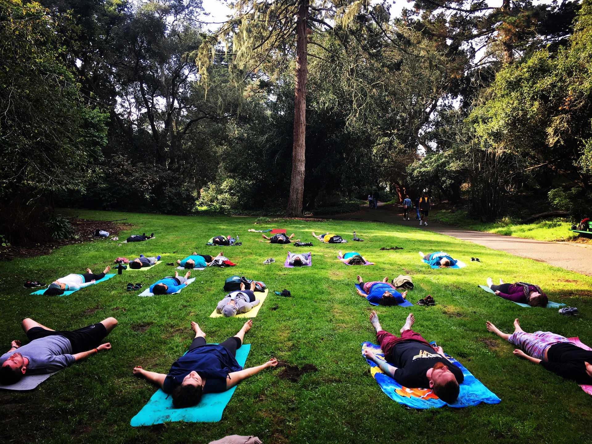 Gratitude in the Park🙏 - Summer Solstice Yoga Flow