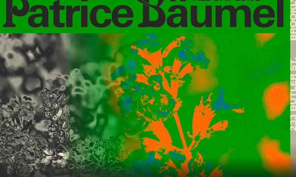 The Nursery: Patrice Bäumel All Day Long
