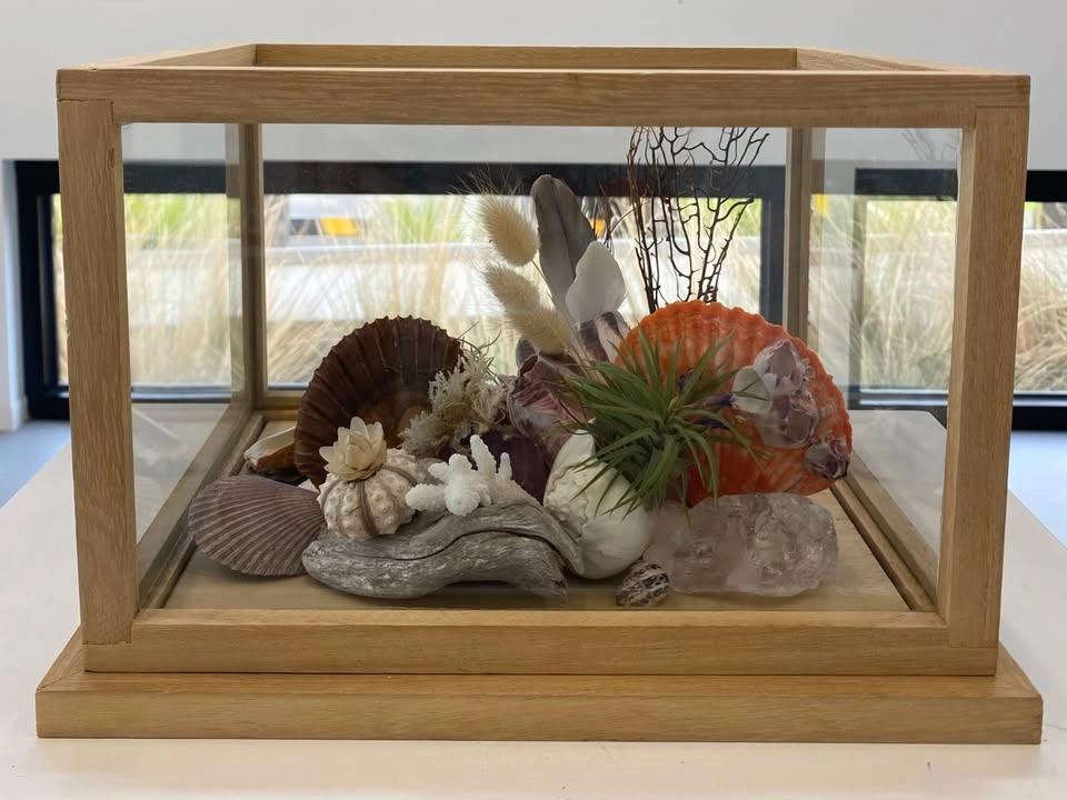 Indigenous Grass Terrarium Making