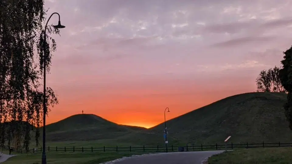 Promenadloppis i Gamlis