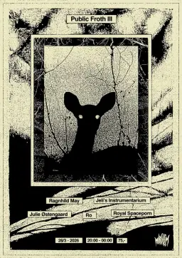 Public Froth III - Ranghild May, Julie Østengaard, Ro, Royal Spaceporn, Jeli’s Instrumentarium
