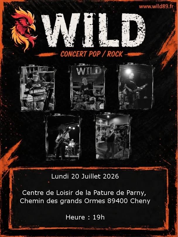 Concert à Cheny (89)