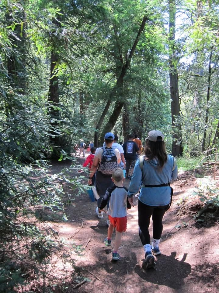 Family Nature Adventures: Reptiles