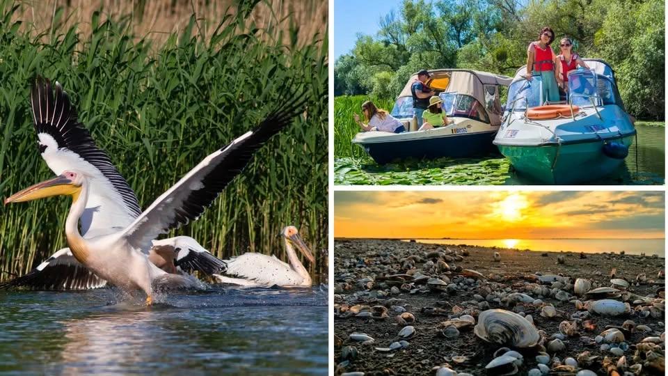 3 zile la căsuțe în Delta Dunării #19