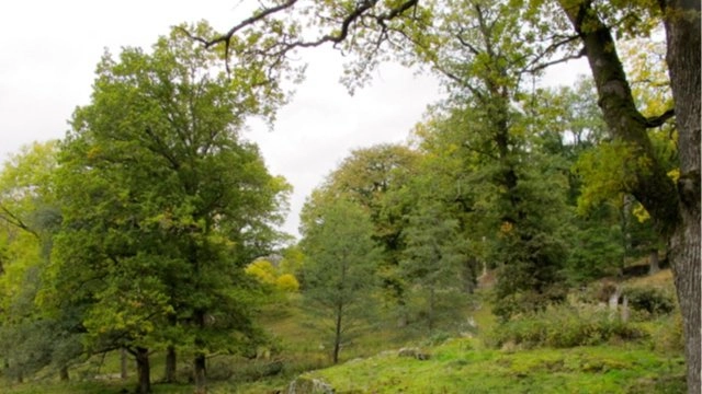 Hiking in Bokedalens naturreservat