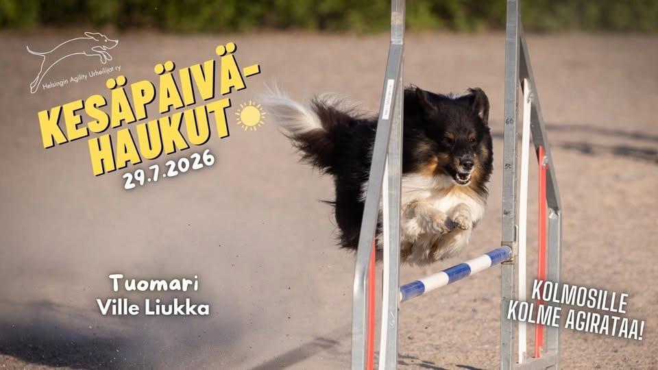 KesäPÄIVÄHAUkut - vikat nollat SMiin!!