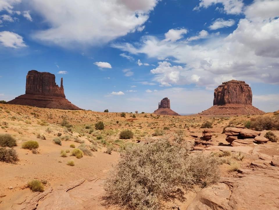 Herping the USA. Guest speaker – Philip Topham.