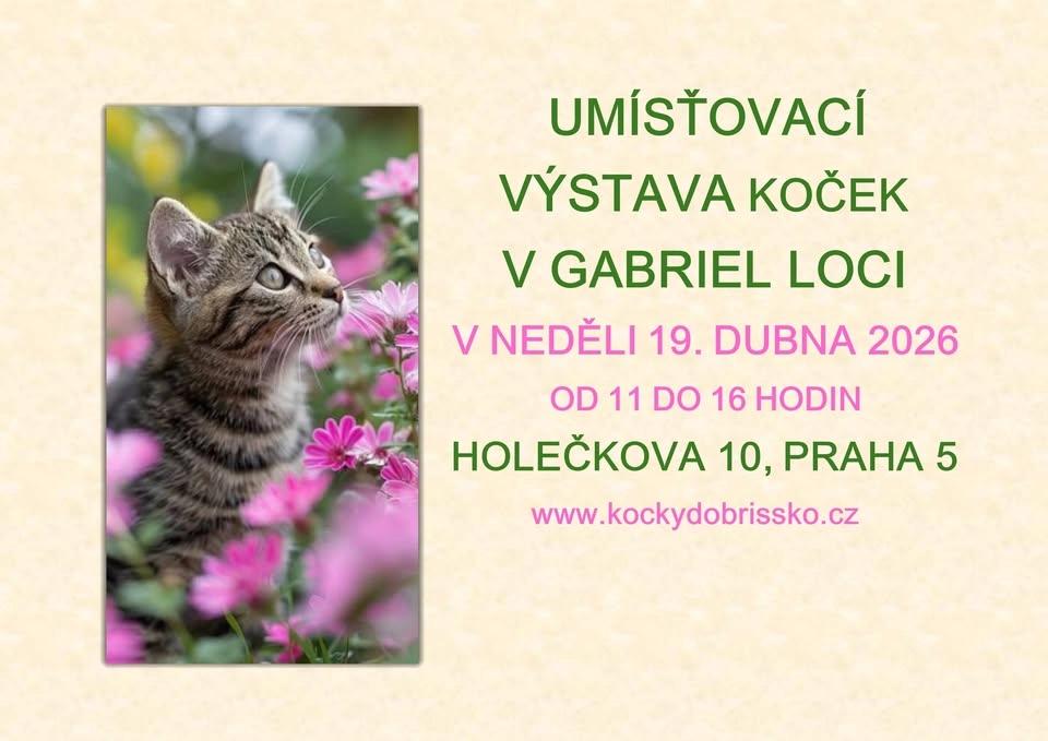 UMÍSŤOVACÍ VÝSTAVA KOČEK