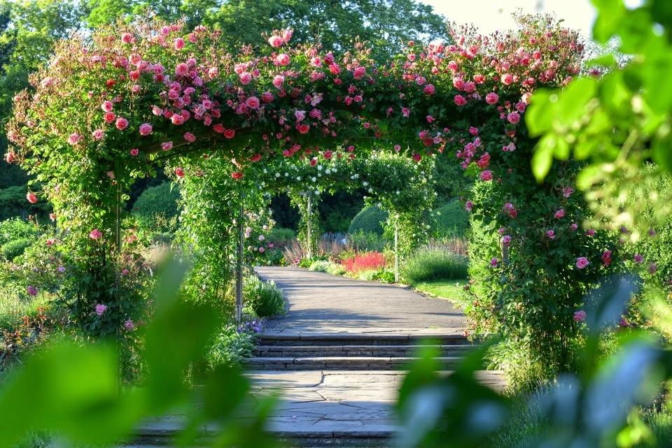 Ab in den Park – Allgemeine Parkführung