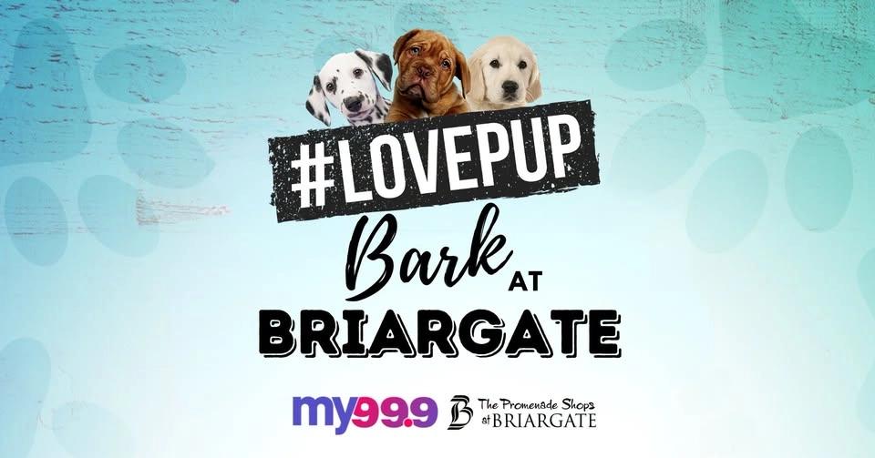 LovePup Bark at Briargate