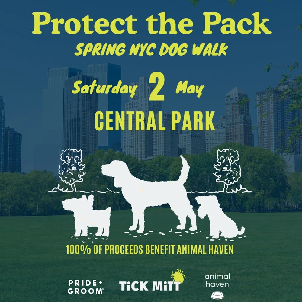 Protect the Pack NYC Dog Walk with PRIDE+GROOM and Animal Haven