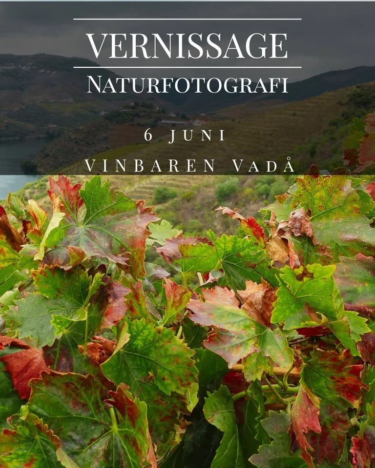 Vernissage: Mellan fjäll, skärgård och vinrankor - en fotografisk resa genom naturen