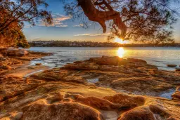 View from Above (a stoic practice) Sunset đ
birthday picnic đ«