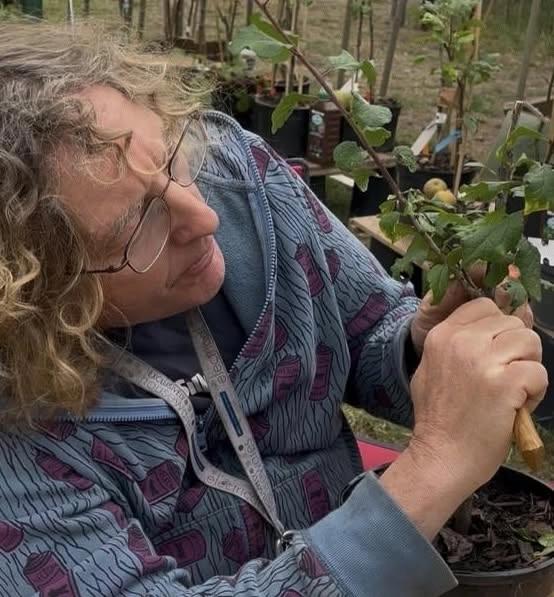 Fruit Tree Budding Course (create your own 'family' fruit tree)