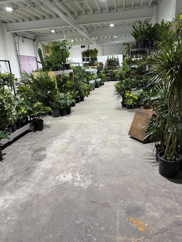 Warehouse Plant Sale MAY 23RD