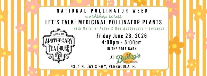 Letβs Talk: Medicinal Pollinator Plants with Marni of Asher & Bee Apothecary + Botanica