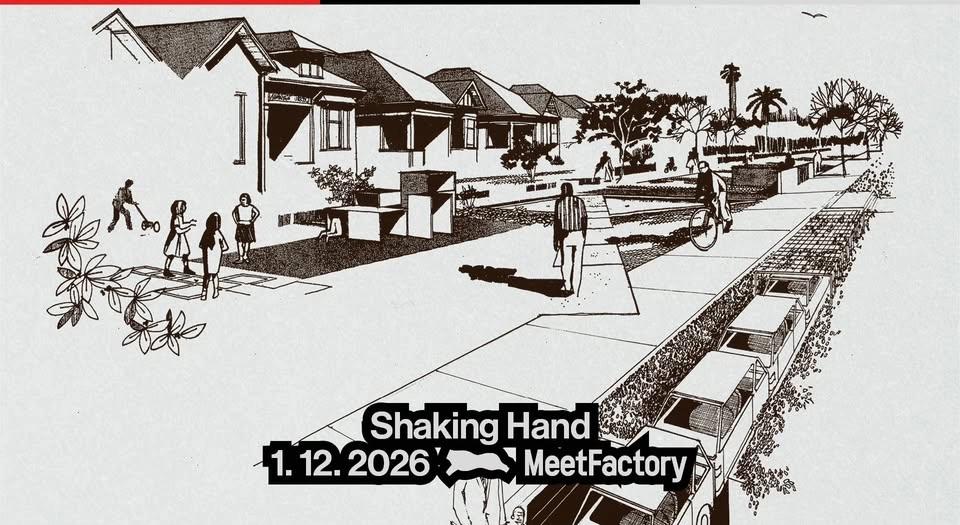 Shaking Hand