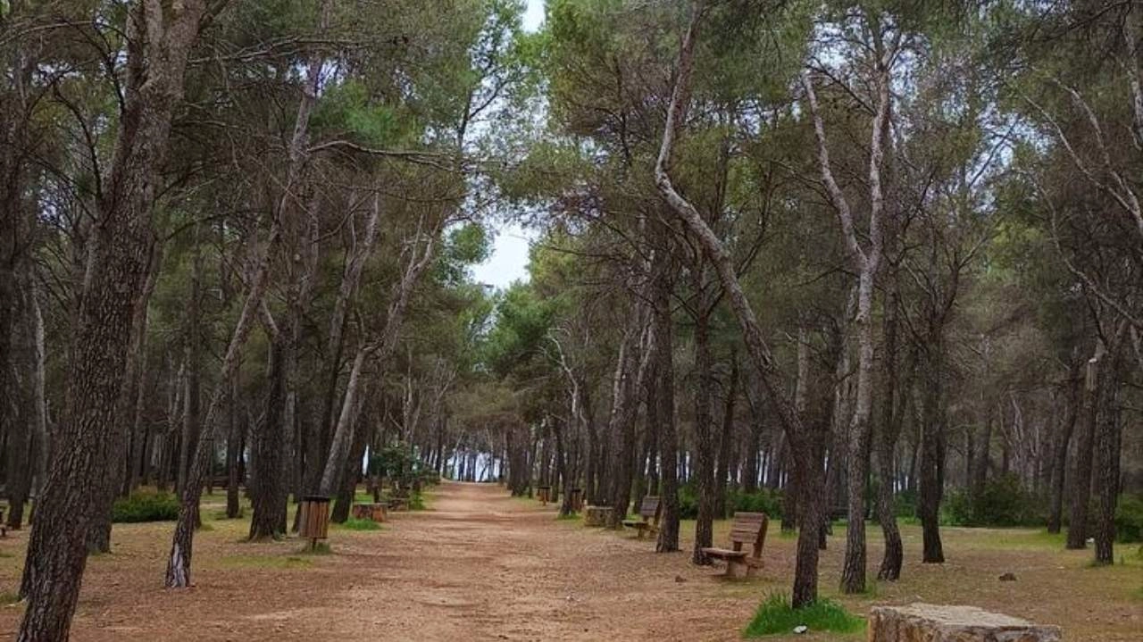 Dehesa del Carrascal. Nivel Básico. Domingo 26