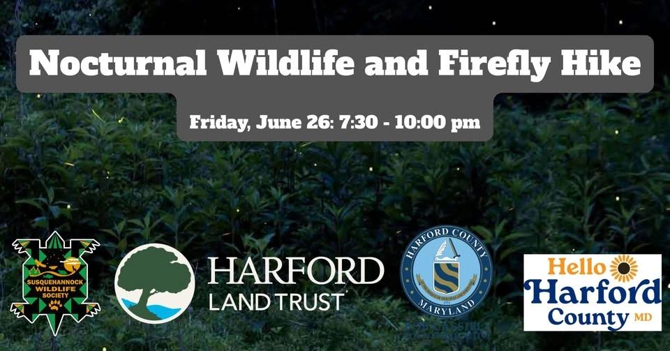 Nocturnal Wildlife and Firefly Hike