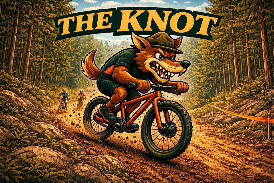 The Knot