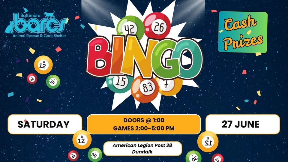 BARCS Bingo