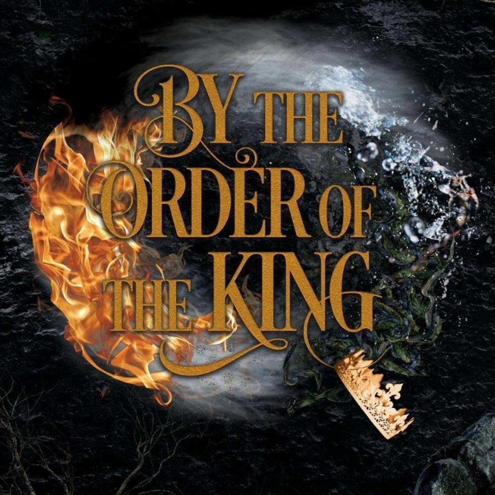 Book Release and Signing for By the Order of the King by Shelby Ann Harms