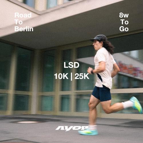 ROAD TO BERLIN: LSD 10K | 25K