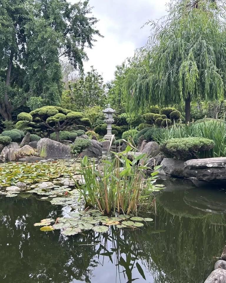 Forest Bathing Himeji Gardens
