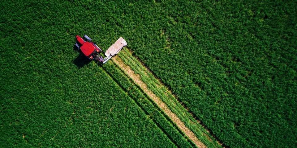 Royal Society Environment Prize Lecture: Feeding the world without costing the earth