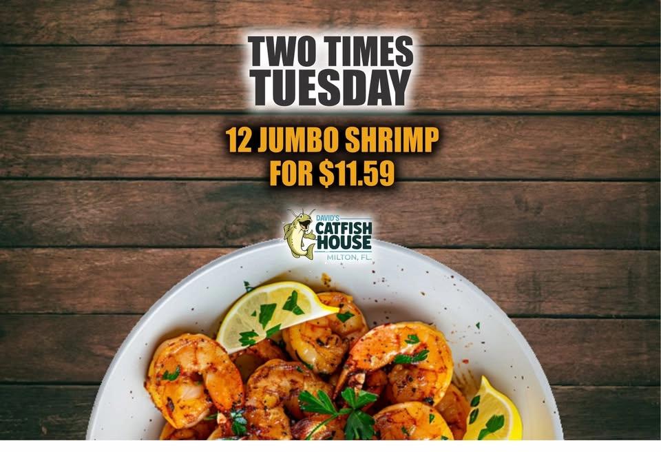 Tuesday Special