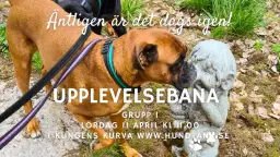 HundTänks Upplevelsebana