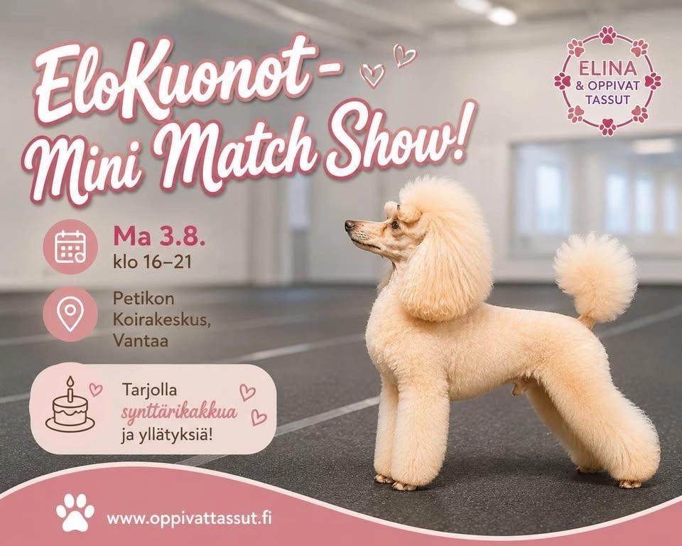 EloKuonot Mini Match Show!
