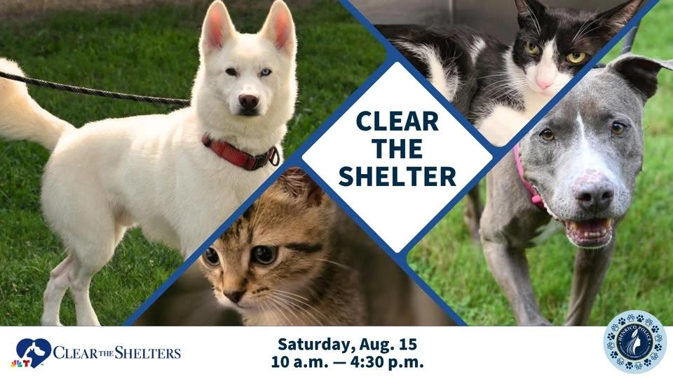 Clear the Shelter