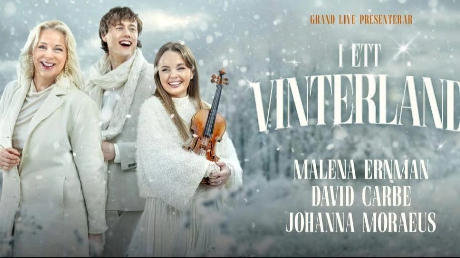 I ett vinterland