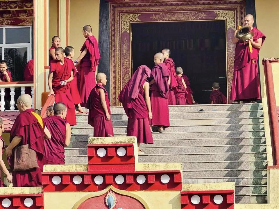 🧘♀️🌷🧘 Buddhist Philosophy-Understanding Four Noble Truths - Workshop!