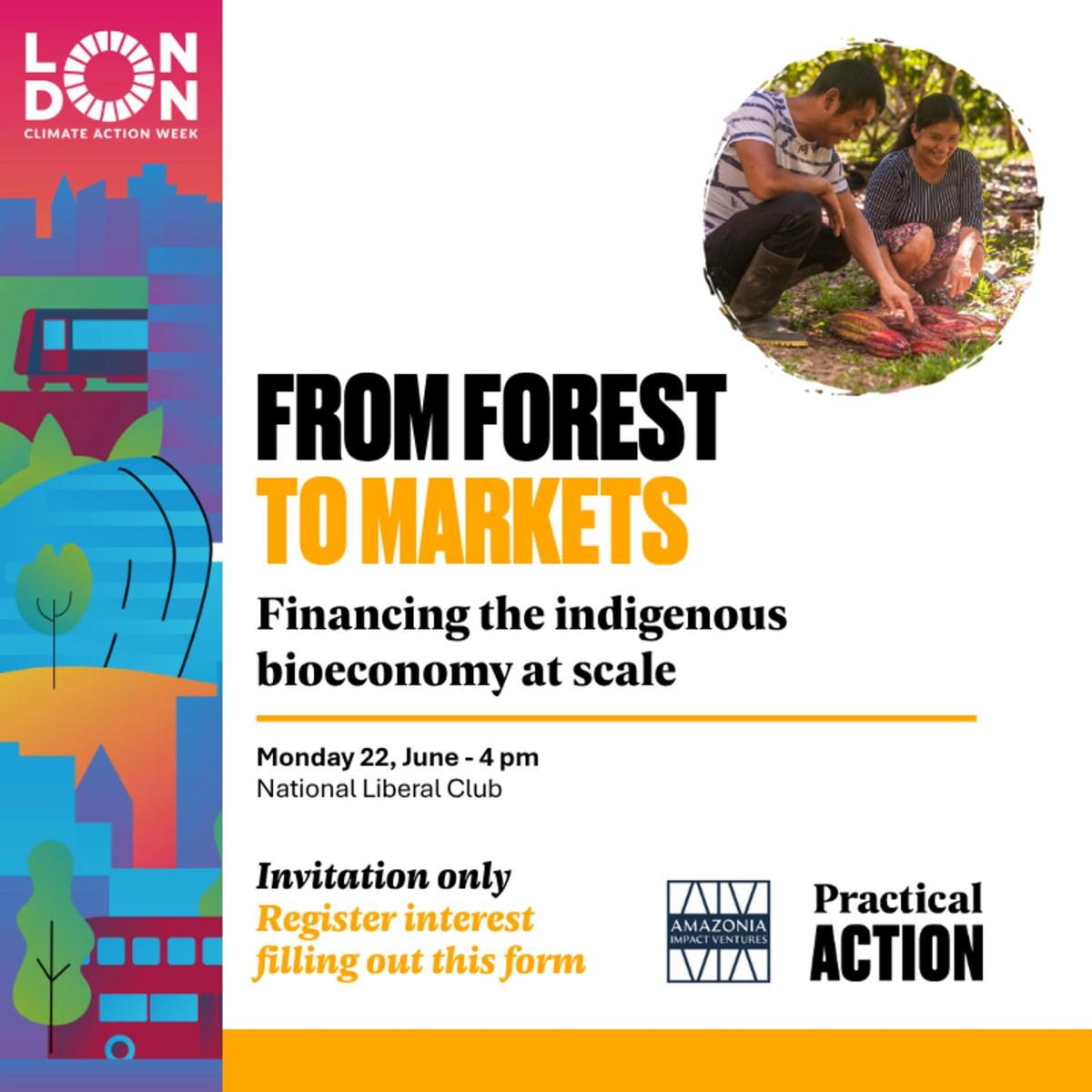 From Forest to Market: Financing the Indigenous Bioeconomy at Scale