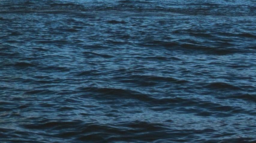 South Street Seaport Museum Announces City of Water Day