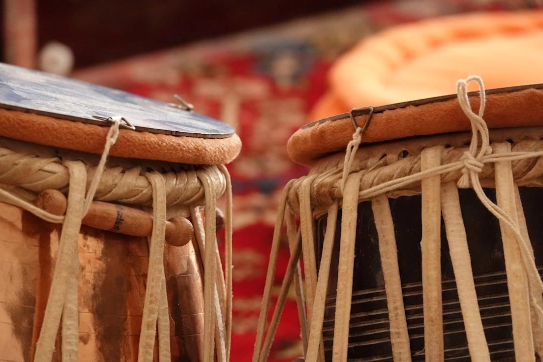 Musical Instruments of South Asia