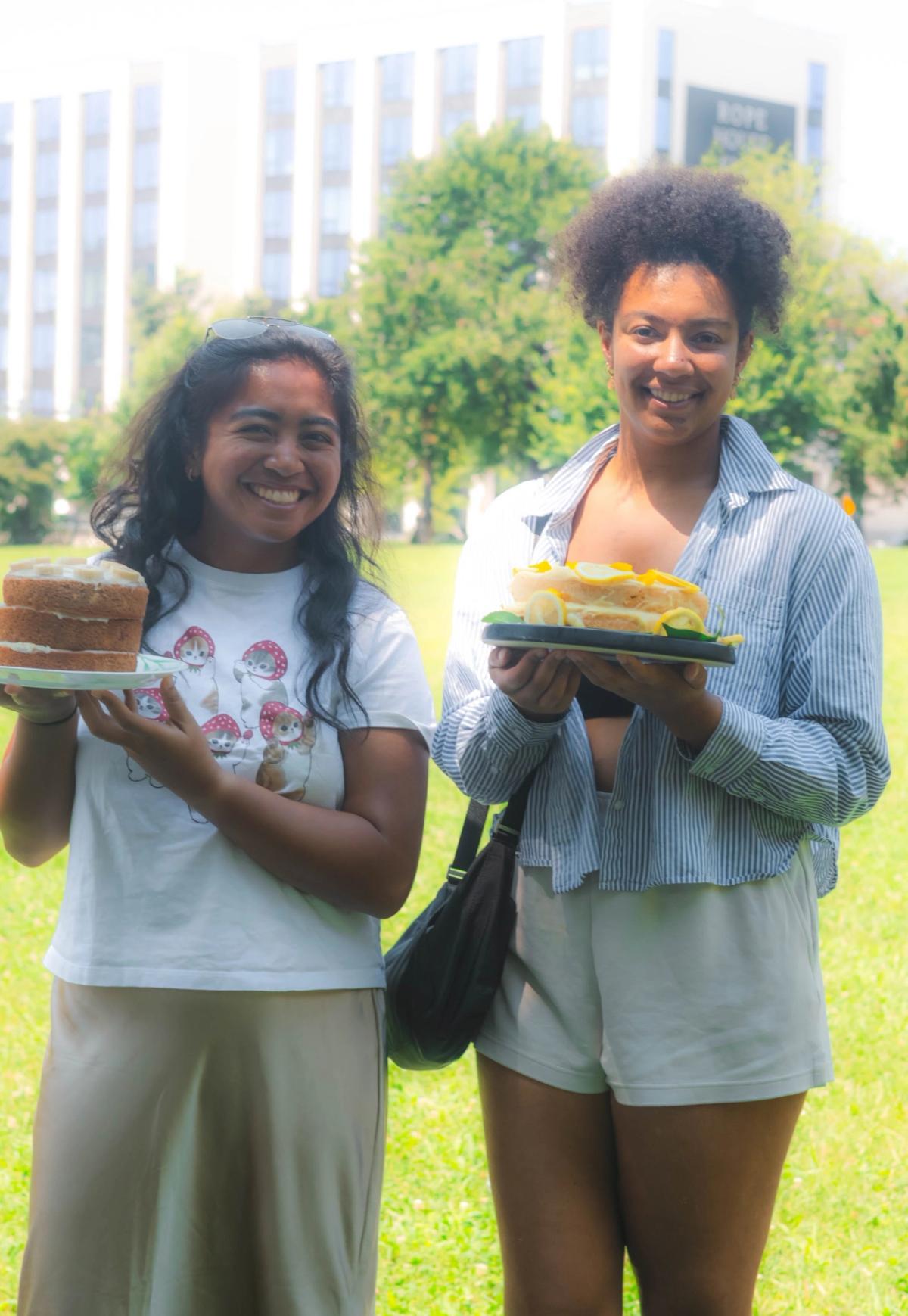 cake picnic