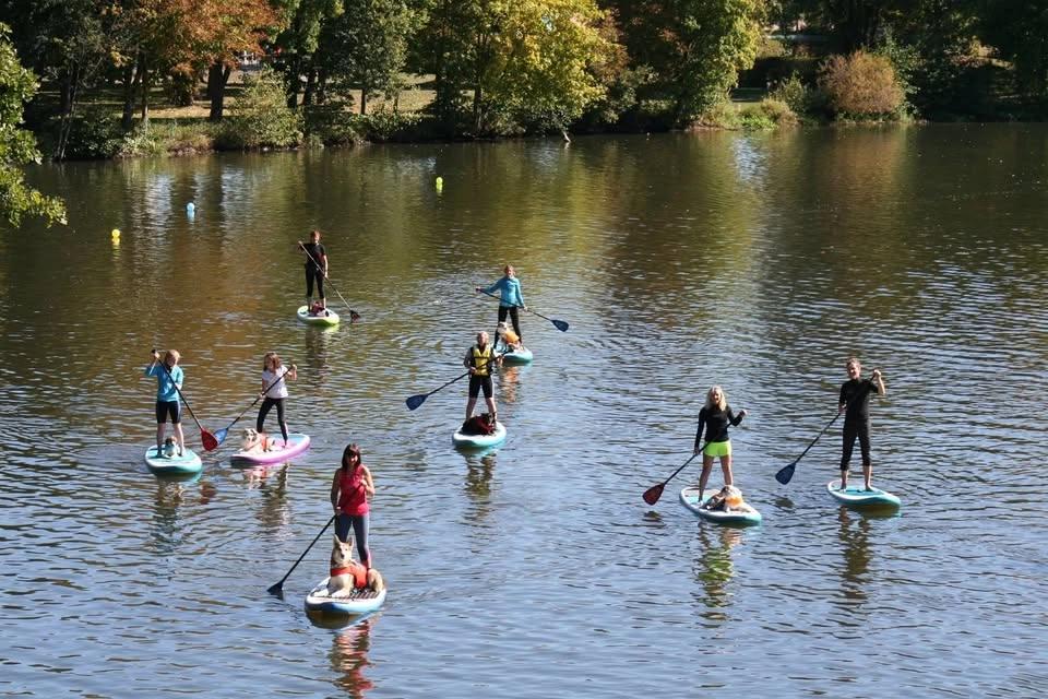 Stand-up_Paddling Kurs mit kleiner Tour und gemeinsamer Einkehr