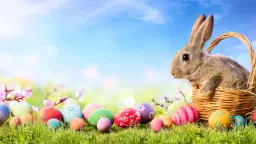 đ°đ· Tokyo Easter Party đ„ Egg Hunt, Wine & International Friends