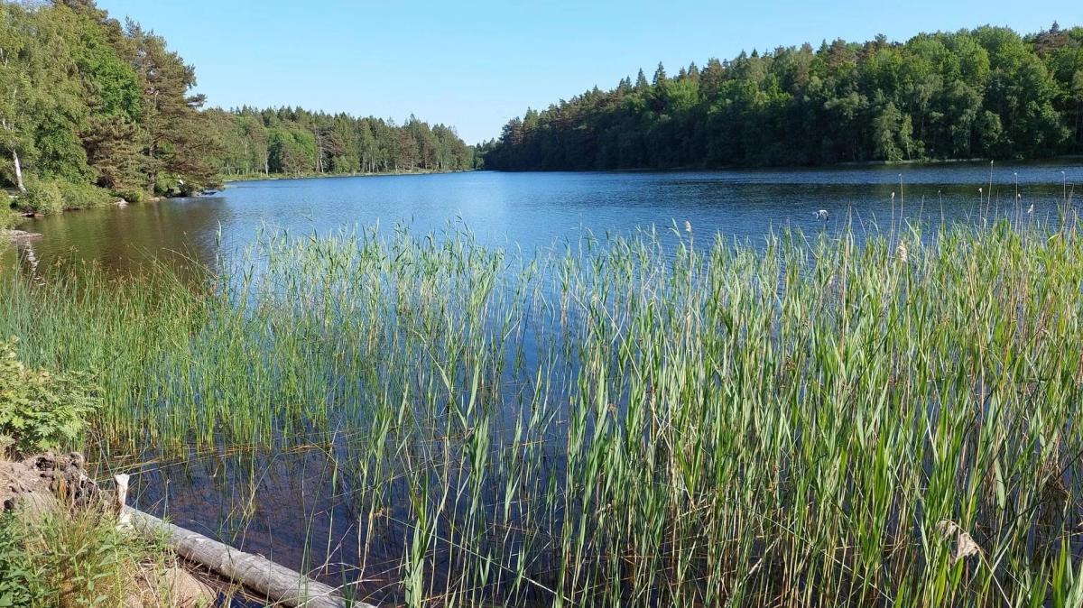 Sunday Funday At Härlanda Lake!