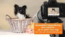 Arken Zoo Eriksberg Göteborg - Kostnadsfri djur-, barn- och familjefotografering