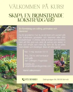 En blomstrande köksträdgård