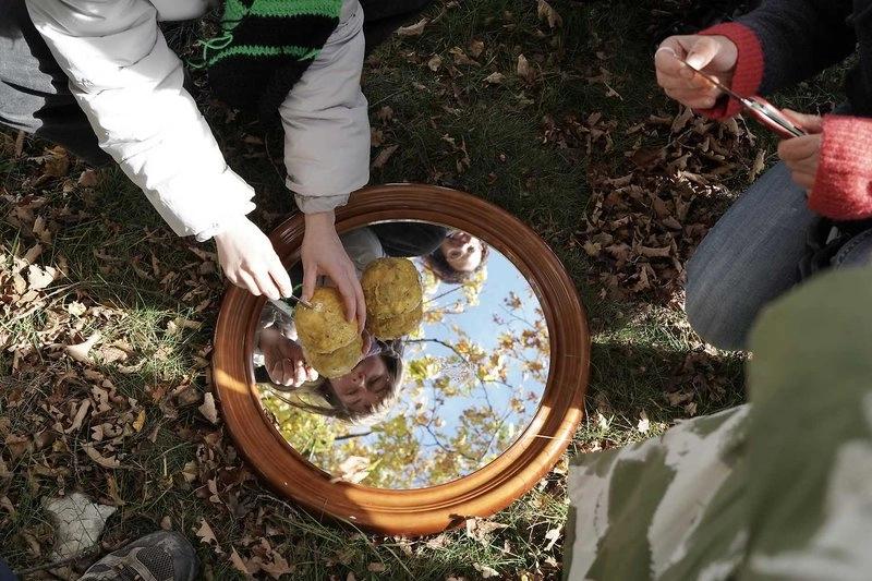 Performance Bus