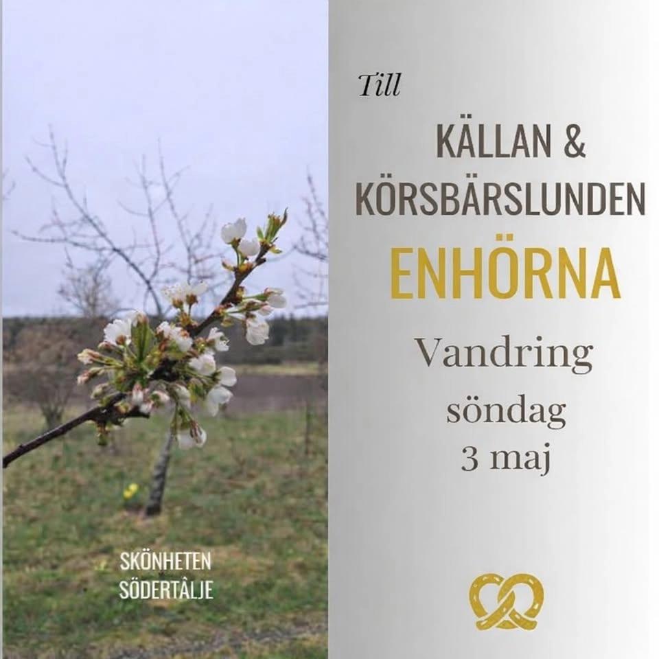 På upptäcktsfärd i Södertälje - Enhörna Körsbärslund & Mars Källan